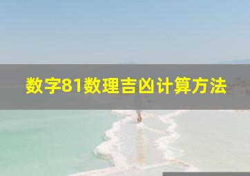 数字81数理吉凶计算方法