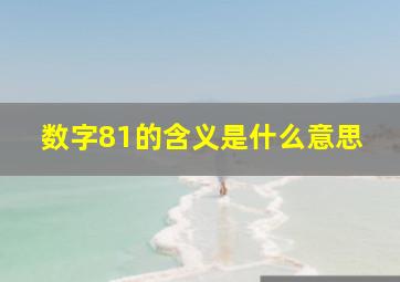 数字81的含义是什么意思