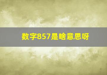 数字857是啥意思呀