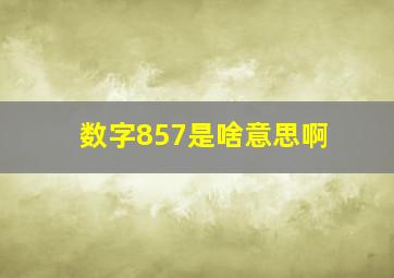 数字857是啥意思啊