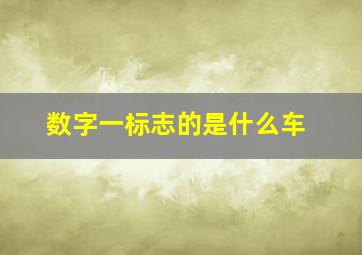 数字一标志的是什么车