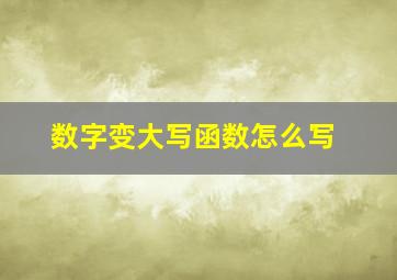 数字变大写函数怎么写