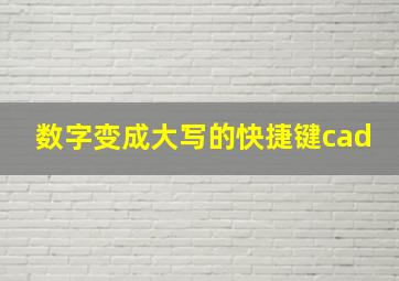 数字变成大写的快捷键cad