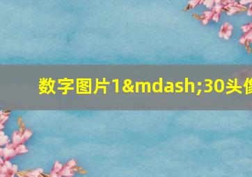 数字图片1—30头像