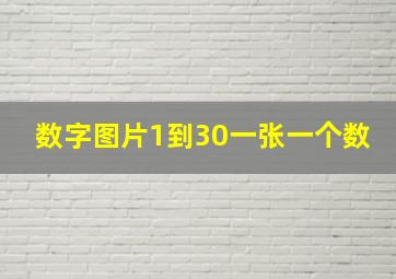 数字图片1到30一张一个数