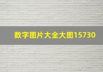 数字图片大全大图15730