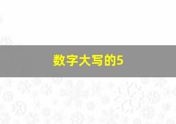 数字大写的5