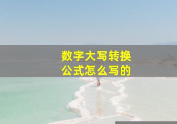 数字大写转换公式怎么写的