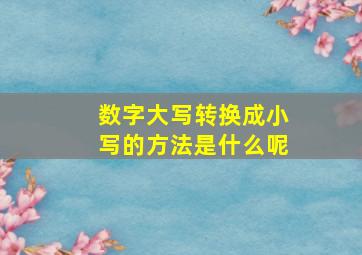 数字大写转换成小写的方法是什么呢