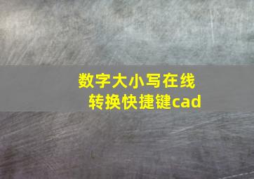 数字大小写在线转换快捷键cad