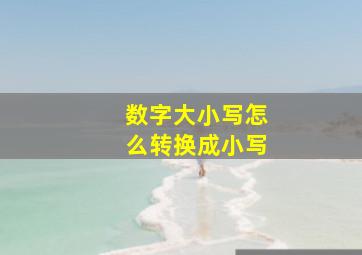 数字大小写怎么转换成小写