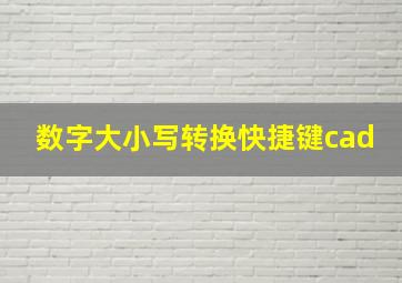 数字大小写转换快捷键cad