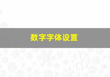 数字字体设置