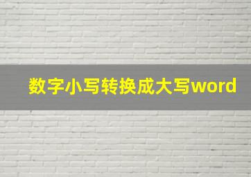 数字小写转换成大写word