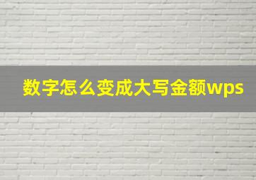 数字怎么变成大写金额wps