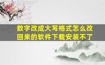 数字改成大写格式怎么改回来的软件下载安装不了