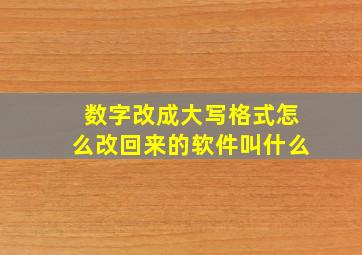 数字改成大写格式怎么改回来的软件叫什么