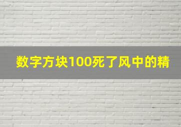 数字方块100死了风中的精