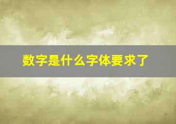 数字是什么字体要求了