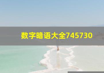 数字暗语大全745730