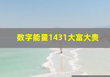 数字能量1431大富大贵