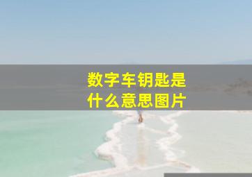 数字车钥匙是什么意思图片