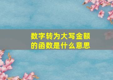 数字转为大写金额的函数是什么意思