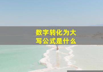 数字转化为大写公式是什么