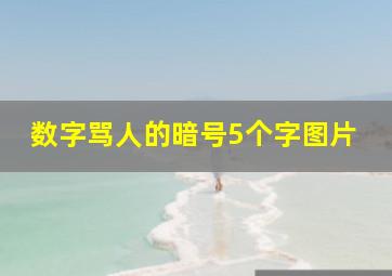 数字骂人的暗号5个字图片