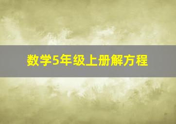 数学5年级上册解方程