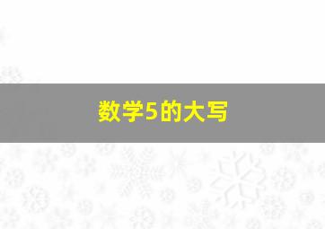 数学5的大写