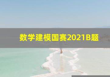 数学建模国赛2021B题