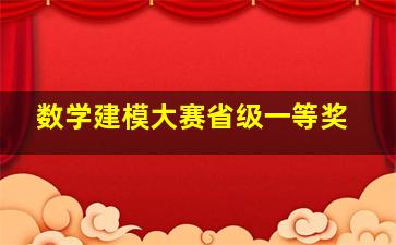 数学建模大赛省级一等奖