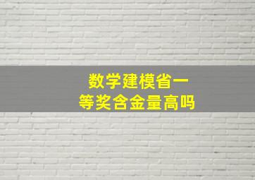 数学建模省一等奖含金量高吗