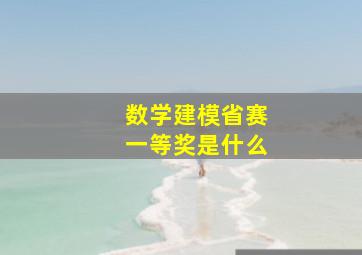 数学建模省赛一等奖是什么