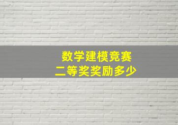 数学建模竞赛二等奖奖励多少