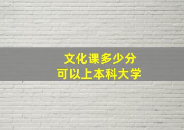 文化课多少分可以上本科大学