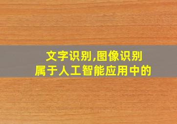 文字识别,图像识别属于人工智能应用中的