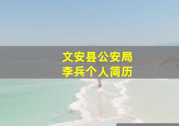 文安县公安局李兵个人简历