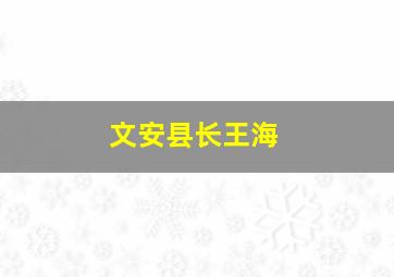 文安县长王海