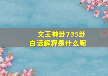 文王神卦735卦白话解释是什么呢