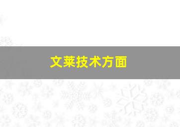 文莱技术方面