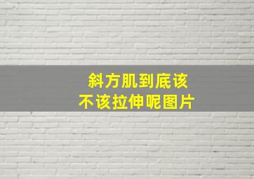 斜方肌到底该不该拉伸呢图片