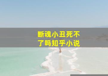 断魂小丑死不了吗知乎小说