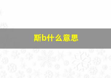 斯b什么意思