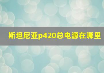 斯坦尼亚p420总电源在哪里