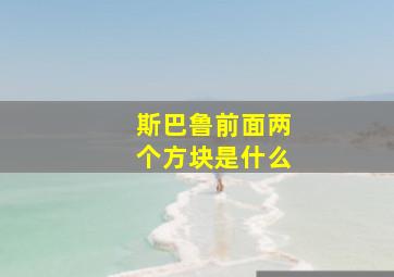 斯巴鲁前面两个方块是什么