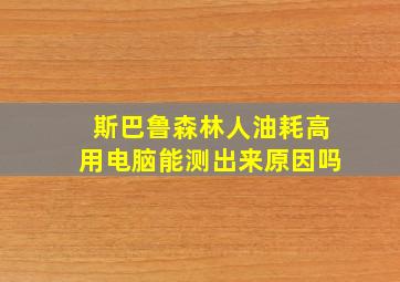 斯巴鲁森林人油耗高用电脑能测出来原因吗