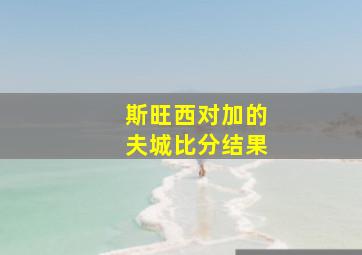 斯旺西对加的夫城比分结果