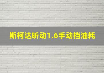 斯柯达昕动1.6手动挡油耗